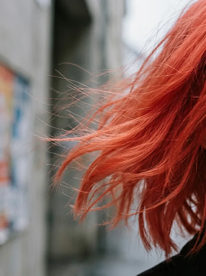 Haar Textur Detail Wildwuchs Friseur Linz